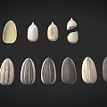 Different Types of Sunflower Seeds Including Shelled and Unshelled with Various Colors