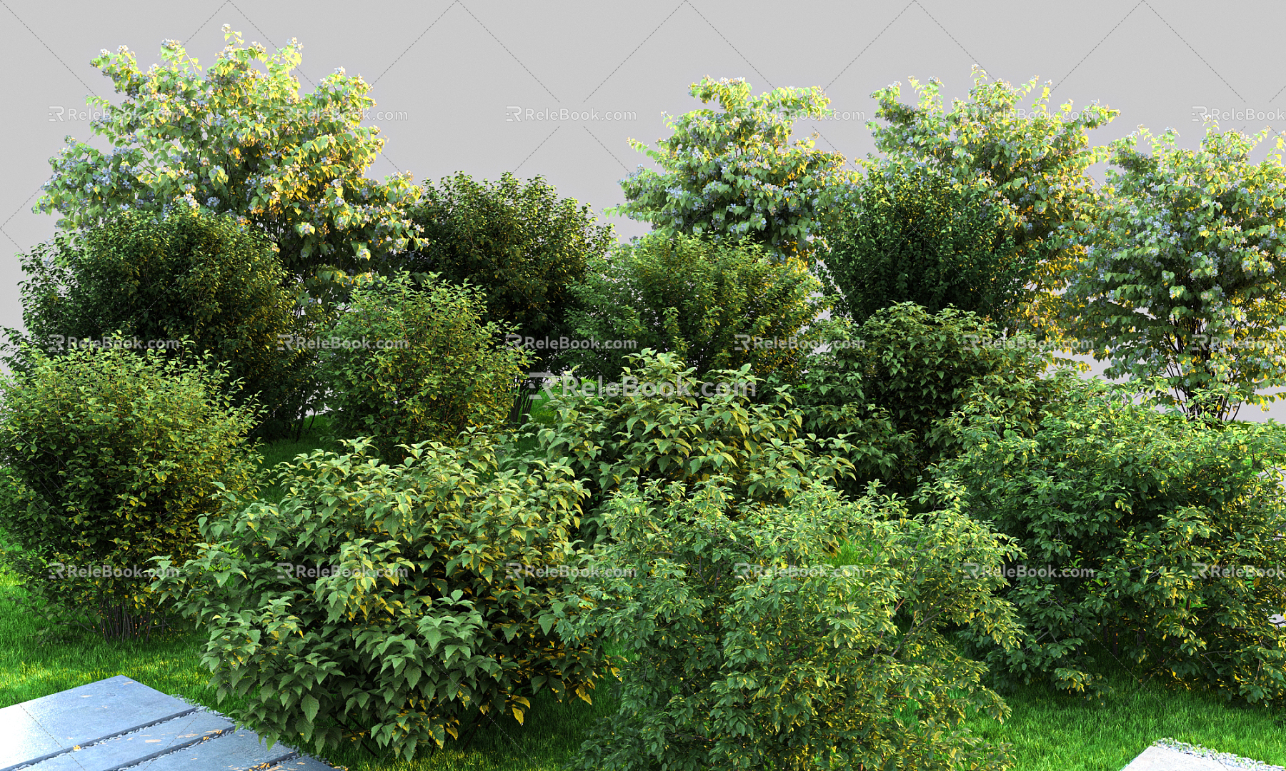 Garden Shrub Landscape Shrub Modern Shrub Residential Landscape Landscape Green Plant 3d model