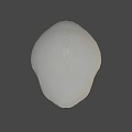 White Human Skull With Detailed Anatomical Structure Isolated On Gray