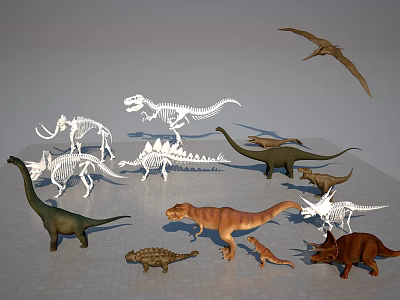 Assorted Dinosaur Ornament Decor Set With Skeleton Models And Colorful Figurines 3d model