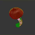 Single Orange Mushroom With Textured Cap And Root Like Stem On Gray Background