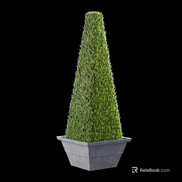 Green Conical Topiary Plant in Square Gray Planter Pot for Decorative 3d model 
