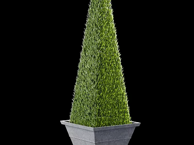Green Conical Topiary Plant in Square Gray Planter Pot for Decorative 3d model