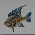Colorful Fish with Blue Fins Tail and Orange Yellow Spots Decorative Details