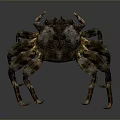 Detailed Aquatic Animal Crab With Dark Textured Shell And Extended Legs
