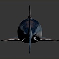 Modern shark great white shark whale shark hammerhead shark 3d model