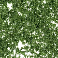 Lush Green Plant Wall With Dense Foliage For Indoor Outdoor Decoration
