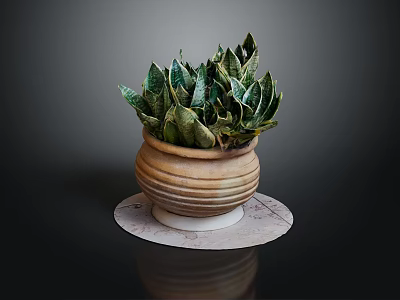 Green And White Striped Snake Plant In Terracotta Pot On Marble Tray 3d model