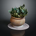 Green And White Striped Snake Plant In Terracotta Pot On Marble Tray