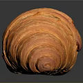 Freshly Baked Croissant With Golden Brown Flaky Layers On Black Surface With Reflection
