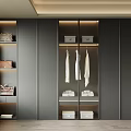 Modern Dark Gray Wardrobe Interior With Hanging Rod White Clothes Storage Shelves Bags And Boxes