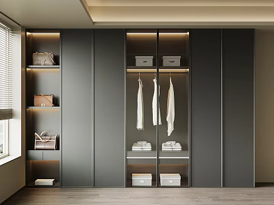 Modern Dark Gray Wardrobe Interior With Hanging Rod White Clothes Storage Shelves Bags And Boxes 3d model