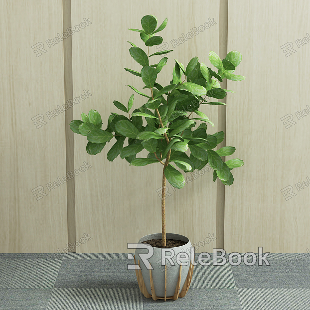 Nordic Potted Green Plant model