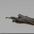 Natural Wood and Stone Tree Stump Decor with Rustic Texture and Organic Details