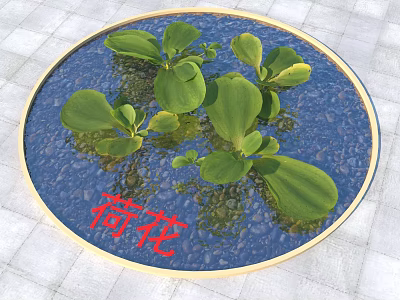 Lush Green Lotus Leaves Floating On Clear Water In Circular Container 3d model