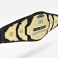 Detailed Classic Championship Belt With Black Strap And Gold Decorative Accents