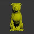 Black and White Staffordshire Bull Terrier Sitting On Reflective Floor With Dark Background