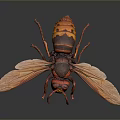 Realistic 3D Rendered Hornet With Red And Yellow Body And Transparent Wings On Dark Background