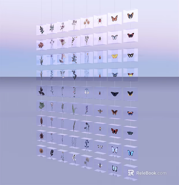 Butterfly And Insect Specimens Arranged In Multi Layer Transparent Display Case 3d model 