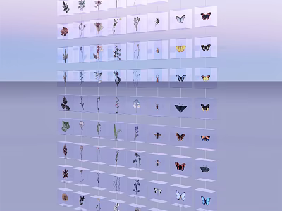 Butterfly And Insect Specimens Arranged In Multi Layer Transparent Display Case 3d model