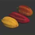 Three Vibrant Cocoa Pods in Yellow Red and Orange Tones on Reflective Black Background