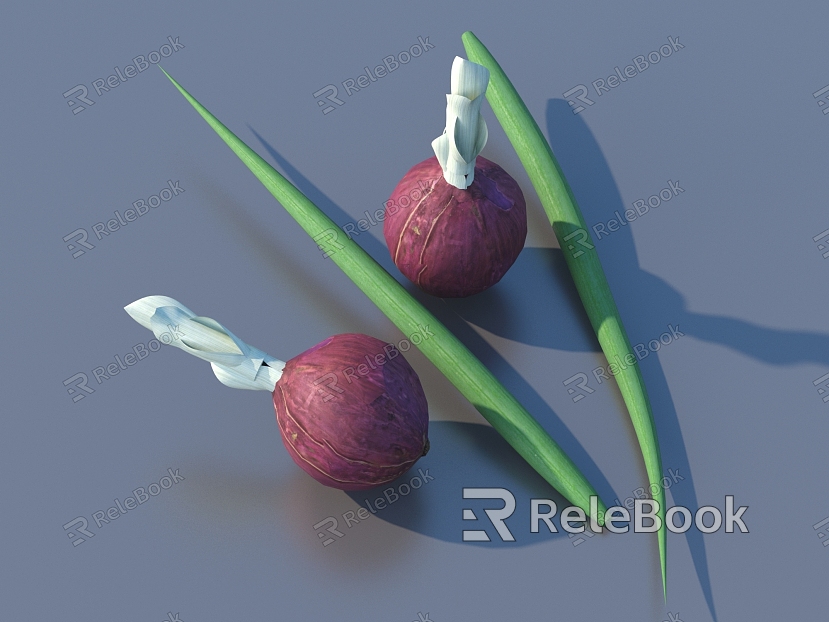 onion vegetable scallion leaf food model