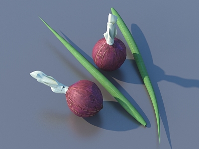 onion vegetable scallion leaf food model