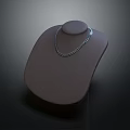 Elegant Silver Necklace Displayed On Light Brown Stand With Dark Background 3d model