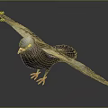 Detailed Flying Pigeon With Spread Wings Red Feet Purple Neck And Gray Feathers