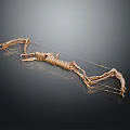 Golden Compound Bow With Intricate Design And Metallic Structure On Dark Background 3d model