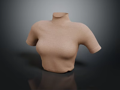 Beige Knitted High Neck Short Sleeve Top For Women's Casual Fashion 3d model