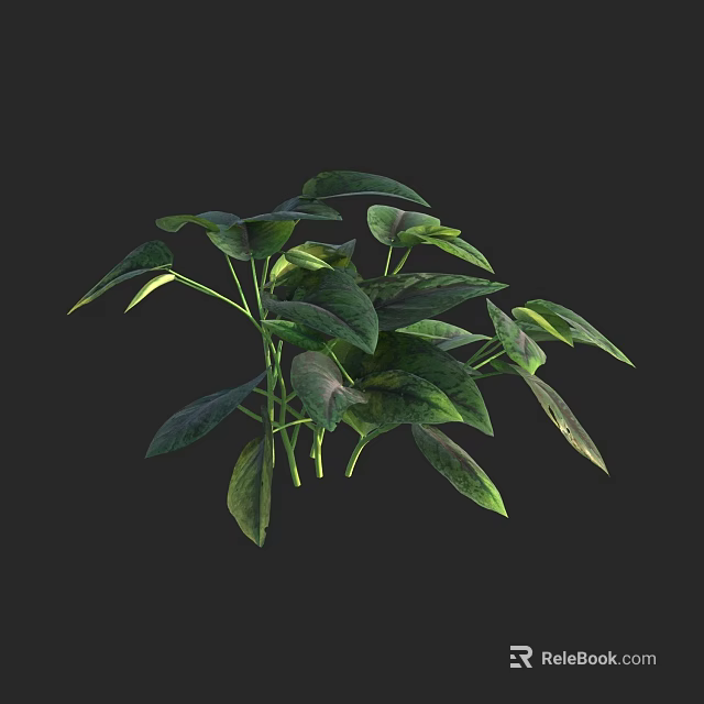 Lush Green Plant With Various Shaped Leaves On Black Background 3d model 