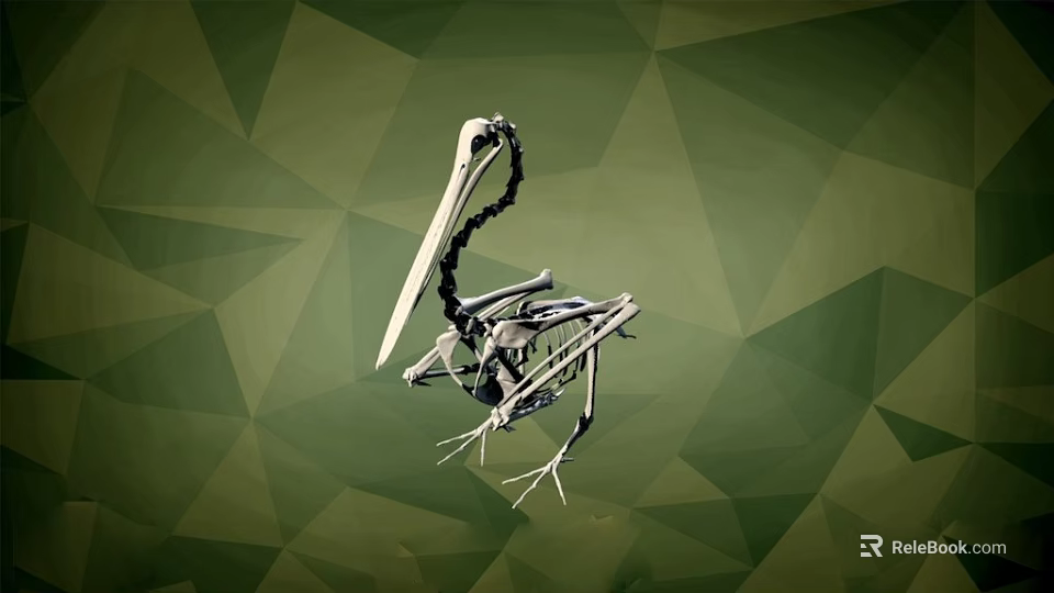Flying Animal Skeleton of Bird with Long Beak on Green Geometric Background 3d model 