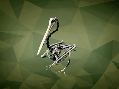 Flying Animal Skeleton of Bird with Long Beak on Green Geometric Background 3d model
