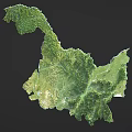 Map Shaped Wall Decor With Green Terrain Texture And Natural Landscape Design 3d model