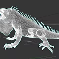 Close Up Of Green Iguana With Spiked Back Open Mouth And Scaly Skin
