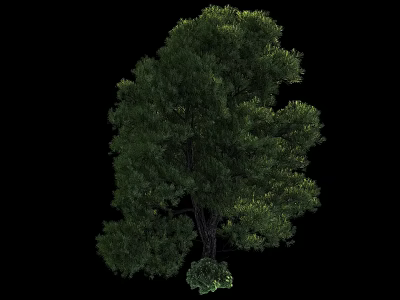 Lush Green Arbor With Dense Foliage And Sturdy Trunk In Natural Landscape 3d model