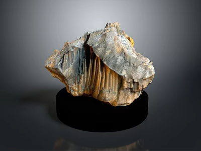 Unique Wooden Stone Featuring Natural Layered Texture On Black Display Base 3d model