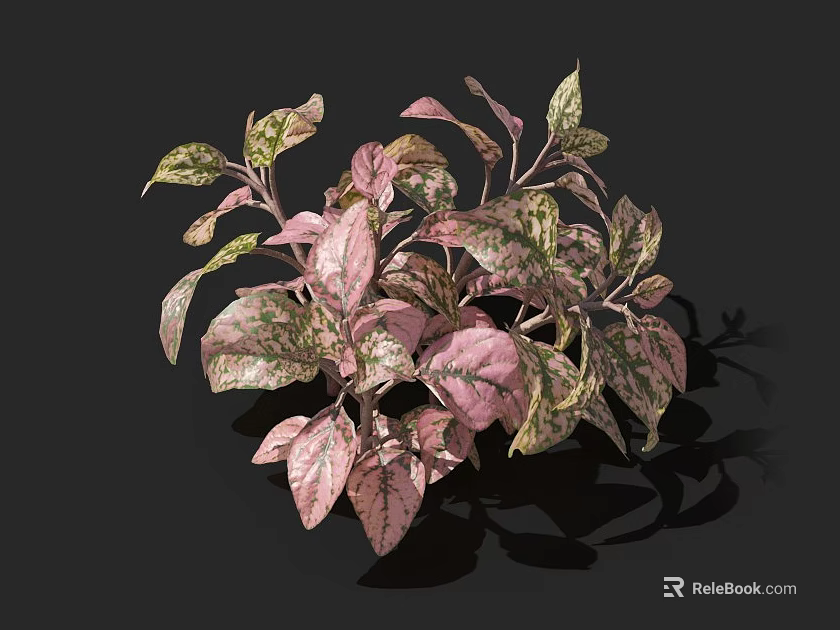 Beautiful Flowers in Vase with Pink and Green Spotted Leaves on Black Background 3d model 