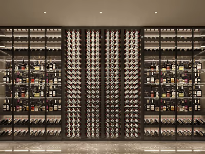 Elegant Wine Cellar Interior With Organized Wine Racks And Bottles 3d model