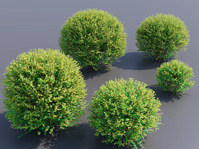 Multiple Round Green Bushes With Lush Leafy Foliage And Vibrant Natural Look 3d model