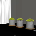 Bonsai Potted Plants Featuring Transparent Glass Containers Wooden Bases and Green Moss on Black Tabletop