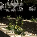 Elegant Dining Table Set With Long Tables Flower Decorations Green Plants And Chandeliers