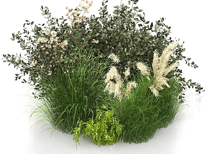 Lush Green Shrubs With White Flowers And Ornamental Grasses In Garden 3d model