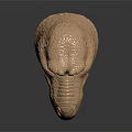 Realistic Brown T Rex Dinosaur Head Model With Open Mouth Sharp Teeth And Detailed Texture
