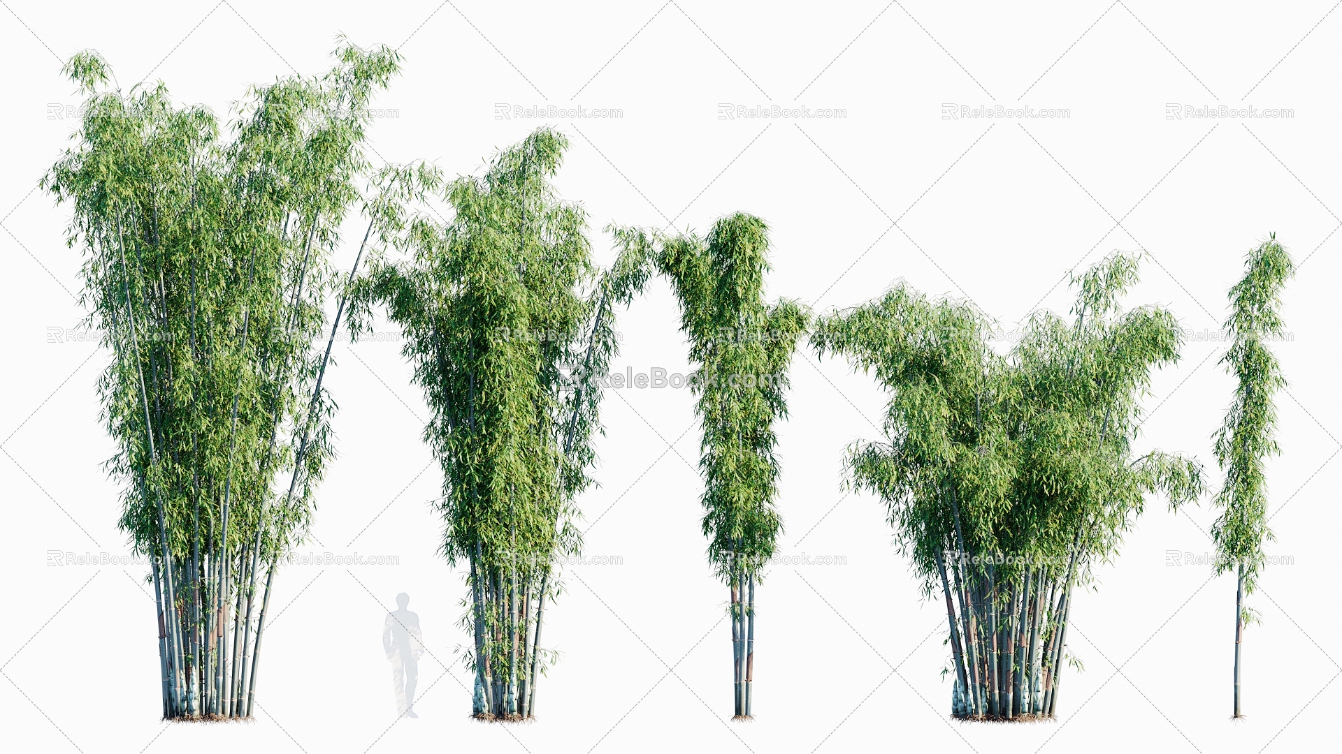 Bamboo Green Bamboo Green Bamboo Bambusa 3d model