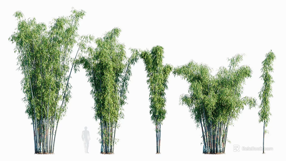 Lush Green Bamboo Plants With Long Leaves And Sturdy Stems In Outdoor Garden 3d model 