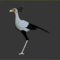 3D Cartoon Bird Character With Orange Beak Long Legs And Black White Feathers