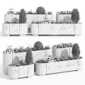 Colorful Bonsai Potted Plants In Red Green Blue Decorative Pots With Various Greenery