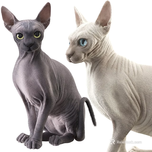 Two Hairless Sphynx Cats Gray And White With Yellow And Blue Eyes Sitting Together 3d model 